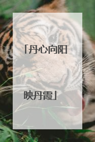 丹心向阳映丹霞