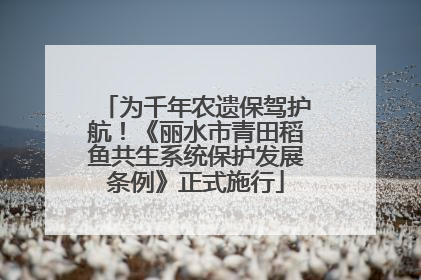 为千年农遗保驾护航！《丽水市青田稻鱼共生系统保护发展条例》正式施行