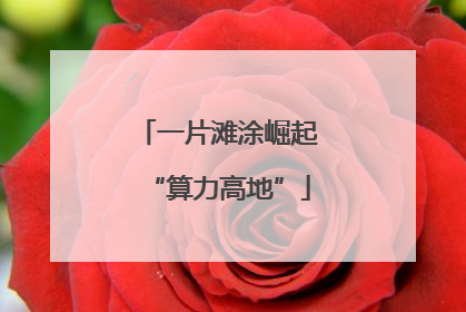 一片滩涂崛起“算力高地”