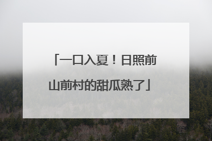 一口入夏！日照前山前村的甜瓜熟了