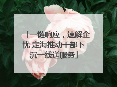 一链响应，速解企忧 定海推动干部下沉一线送服务