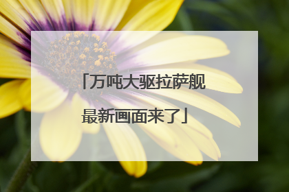 万吨大驱拉萨舰最新画面来了