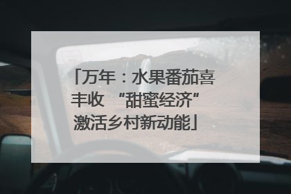 万年：水果番茄喜丰收 “甜蜜经济”激活乡村新动能