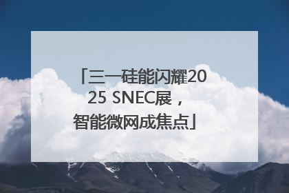 三一硅能闪耀2025 SNEC展，智能微网成焦点