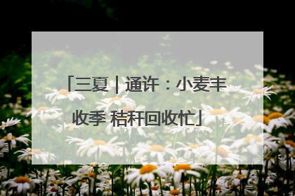 三夏｜通许：小麦丰收季 秸秆回收忙