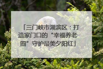三门峡市湖滨区：打造家门口的“幸福养老圈”守护最美夕阳红