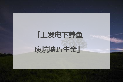 上发电下养鱼 废坑塘巧生金