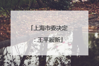 上海市委决定：王平履新
