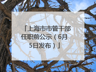 上海市市管干部任职前公示（6月5日发布）