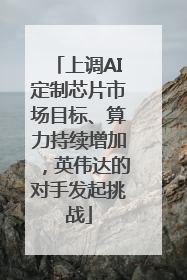 上调AI定制芯片市场目标、算力持续增加，英伟达的对手发起挑战