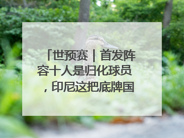世预赛｜首发阵容十人是归化球员，印尼这把底牌国足如何应对？