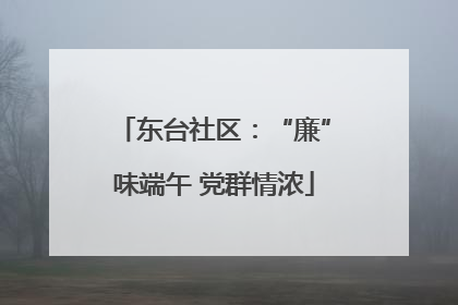 东台社区：“廉”味端午 党群情浓