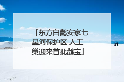 东方白鹳安家七星河保护区 人工巢迎来首批鹳宝