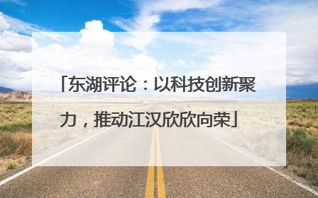 东湖评论：以科技创新聚力，推动江汉欣欣向荣