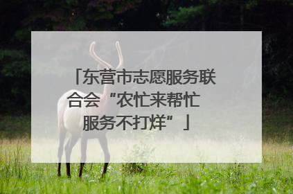 东营市志愿服务联合会“农忙来帮忙 服务不打烊”