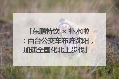 东鹏特饮 × 补水啦：百台公交车布阵沈阳，加速全国化北上步伐