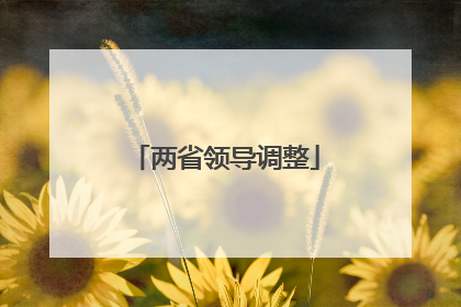 两省领导调整
