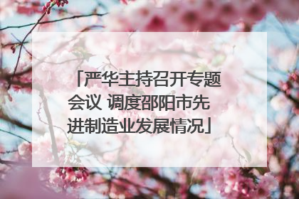 严华主持召开专题会议 调度邵阳市先进制造业发展情况