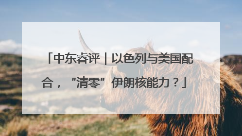 中东睿评｜以色列与美国配合，“清零”伊朗核能力？