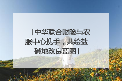 中华联合财险与农服中心携手，共绘盐碱地改良蓝图