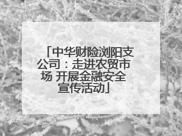 中华财险浏阳支公司：走进农贸市场 开展金融安全宣传活动