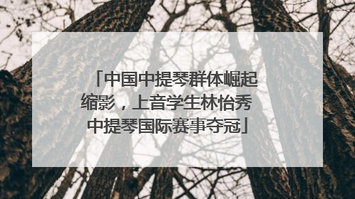 中国中提琴群体崛起缩影，上音学生林怡秀中提琴国际赛事夺冠