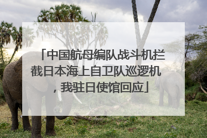 中国航母编队战斗机拦截日本海上自卫队巡逻机，我驻日使馆回应