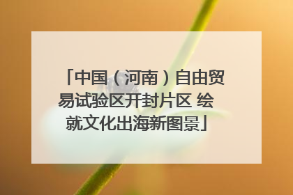 中国（河南）自由贸易试验区开封片区 绘就文化出海新图景