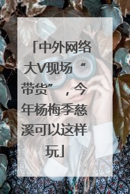 中外网络大V现场“带货”，今年杨梅季慈溪可以这样玩