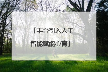 丰台引入人工智能赋能心育