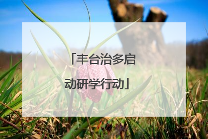 丰台治多启动研学行动