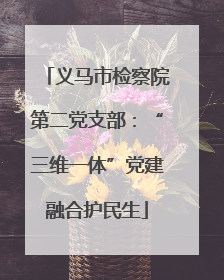 义马市检察院第二党支部：“三维一体”党建融合护民生