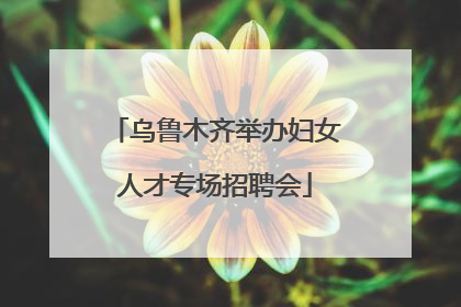 乌鲁木齐举办妇女人才专场招聘会