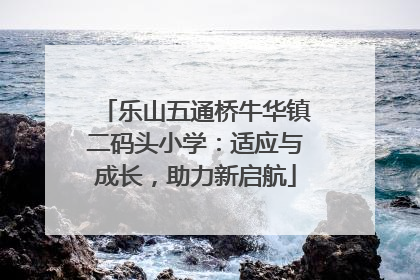 乐山五通桥牛华镇二码头小学：适应与成长，助力新启航