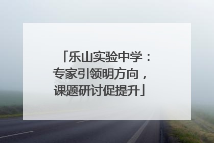 乐山实验中学：专家引领明方向，课题研讨促提升