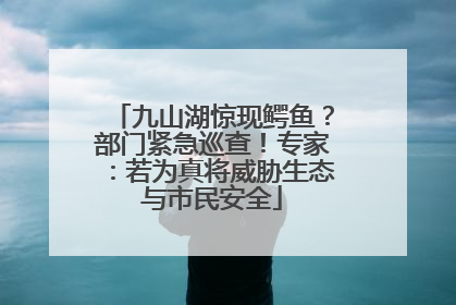 九山湖惊现鳄鱼？部门紧急巡查！专家：若为真将威胁生态与市民安全