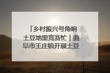 乡村振兴号角响 土豆地里竞赛忙｜曲阜市王庄镇开展土豆收获劳动竞赛