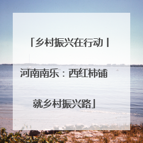 乡村振兴在行动丨河南南乐：西红柿铺就乡村振兴路
