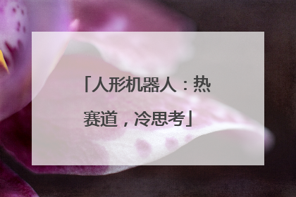 人形机器人：热赛道，冷思考