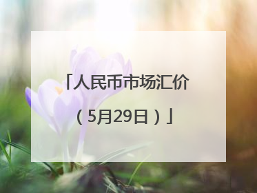 人民币市场汇价（5月29日）