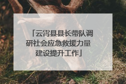 云霄县县长带队调研社会应急救援力量建设提升工作