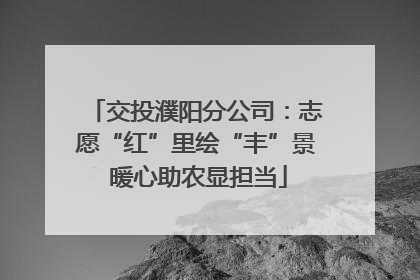 交投濮阳分公司：志愿“红”里绘“丰”景 暖心助农显担当