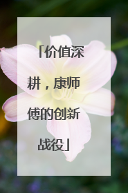 价值深耕，康师傅的创新战役