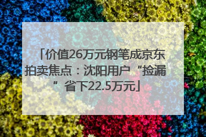 价值26万元钢笔成京东拍卖焦点：沈阳用户“捡漏”省下22.5万元