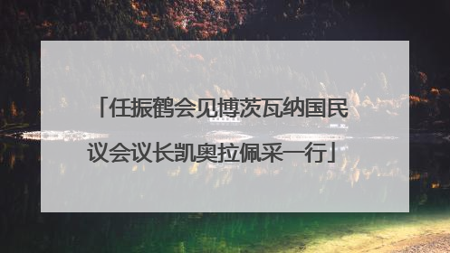 任振鹤会见博茨瓦纳国民议会议长凯奥拉佩采一行