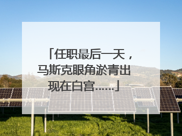 任职最后一天，马斯克眼角淤青出现在白宫……
