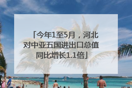 今年1至5月，河北对中亚五国进出口总值同比增长1.1倍
