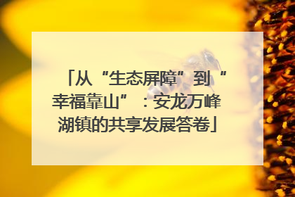 从“生态屏障”到“幸福靠山”：安龙万峰湖镇的共享发展答卷