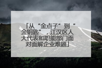 从“金点子”到“金钥匙”，江汉区人大代表和职能部门面对面解企业难题