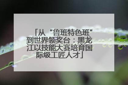 从“鲁班特色班”到世界领奖台：黑龙江以技能大赛培育国际级工匠人才